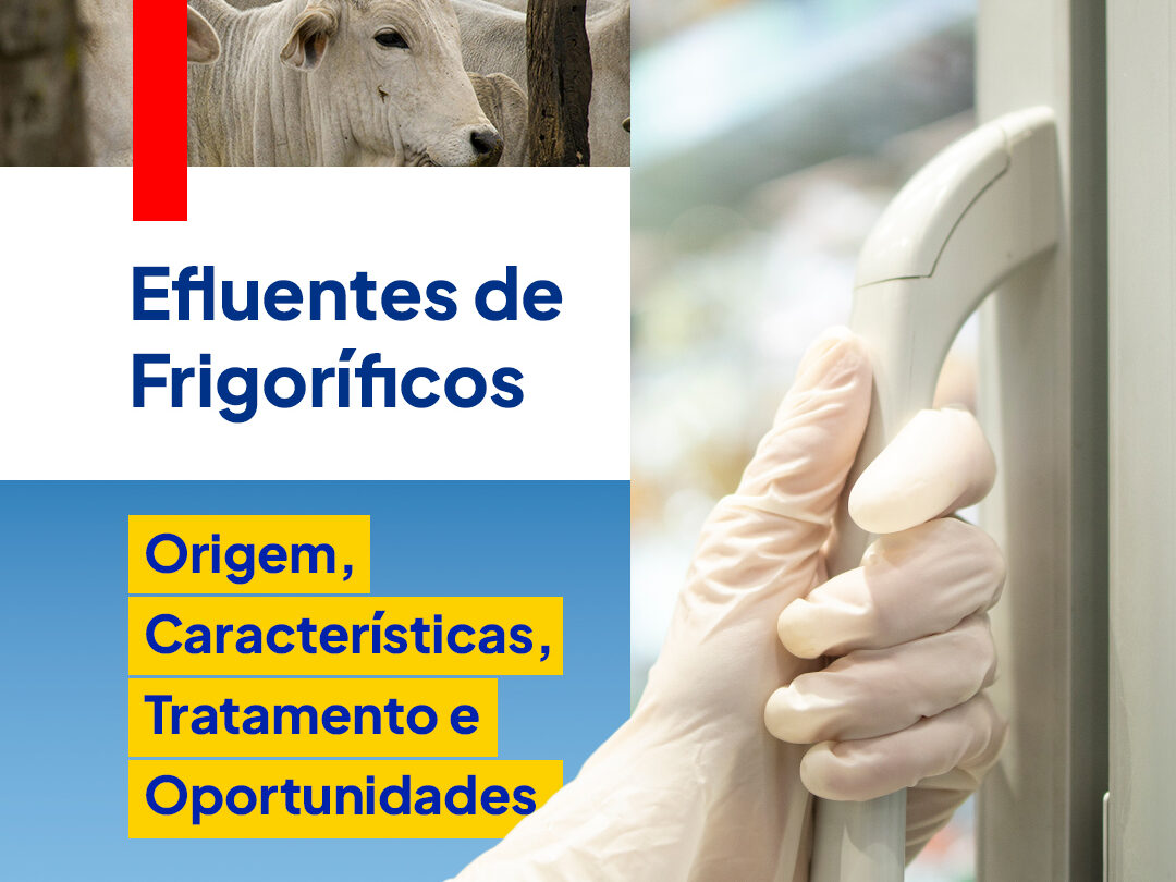 Os Principais Contaminantes Removidos no Flotador e as Vantagens frente aos Decantadores Convencionais.