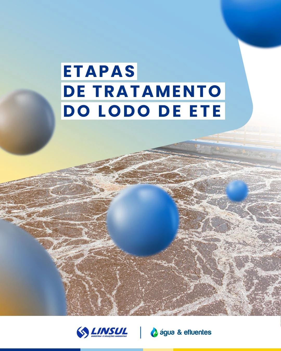 Meatpacking Plant Wastewater: Origin, Characteristics, Treatment and Opportunities