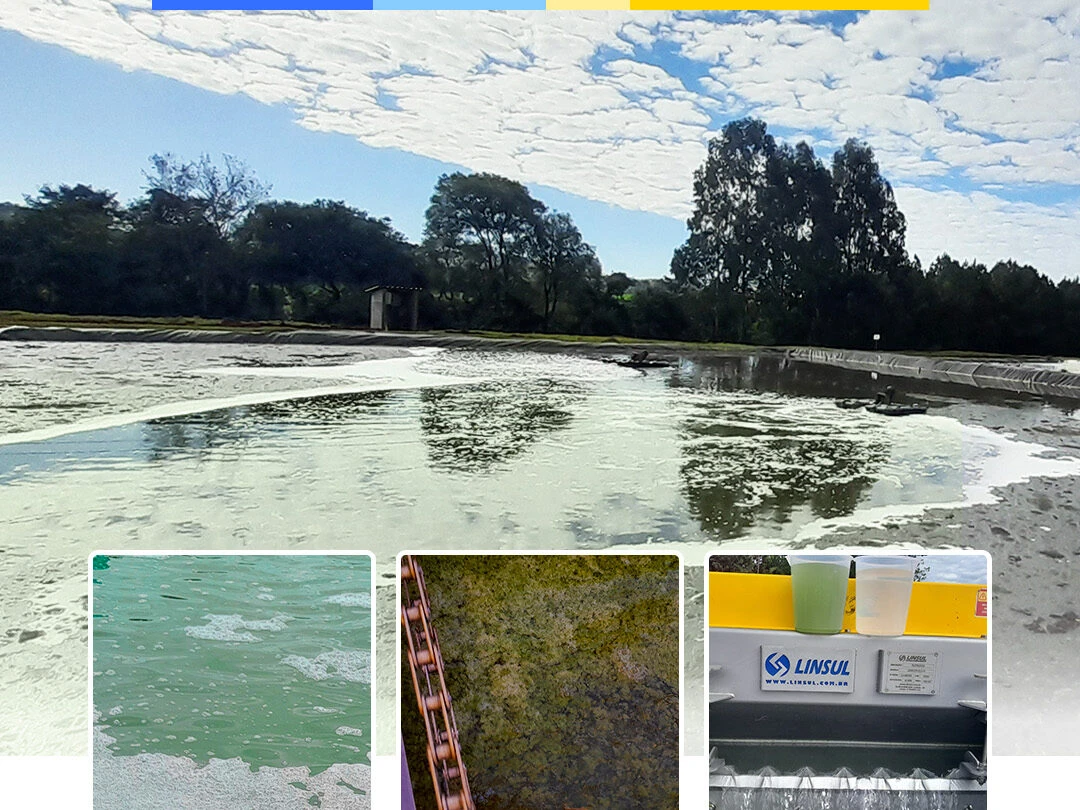 Dissolved Air Flotation (DAF) as a Solution for Removing Algae from Pond Effluents