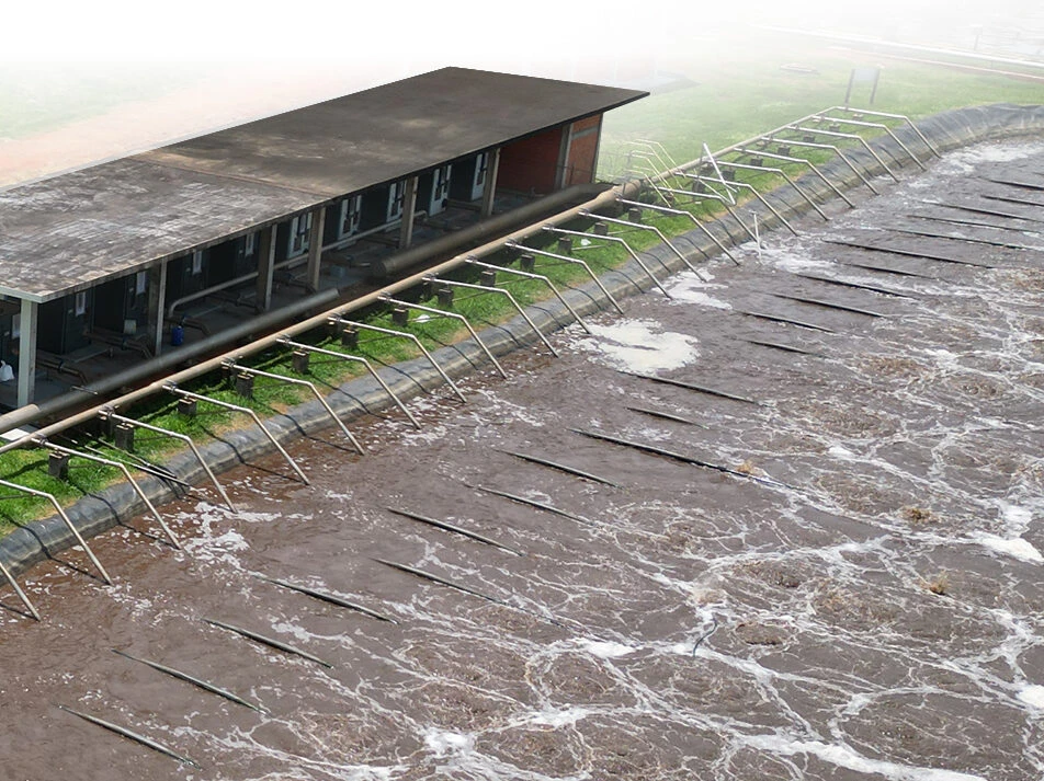 The role of aeration in the biological processes of WWTPs