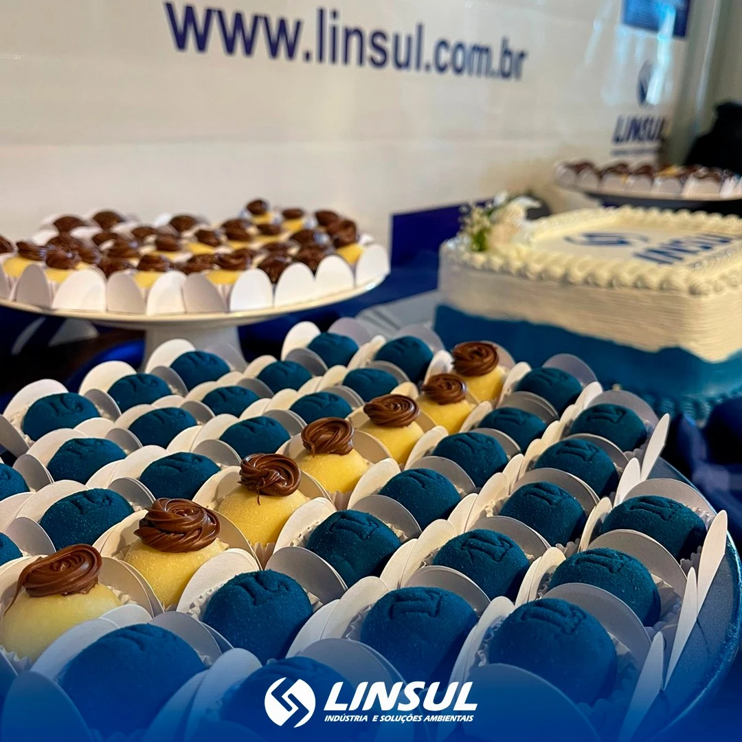 Linsul Comemora 8 Anos de Sucesso e Inovação!