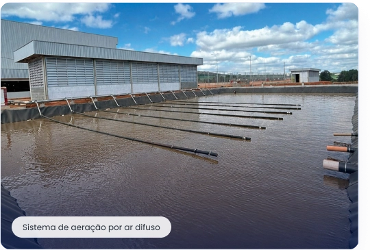Diffused air aeration system
