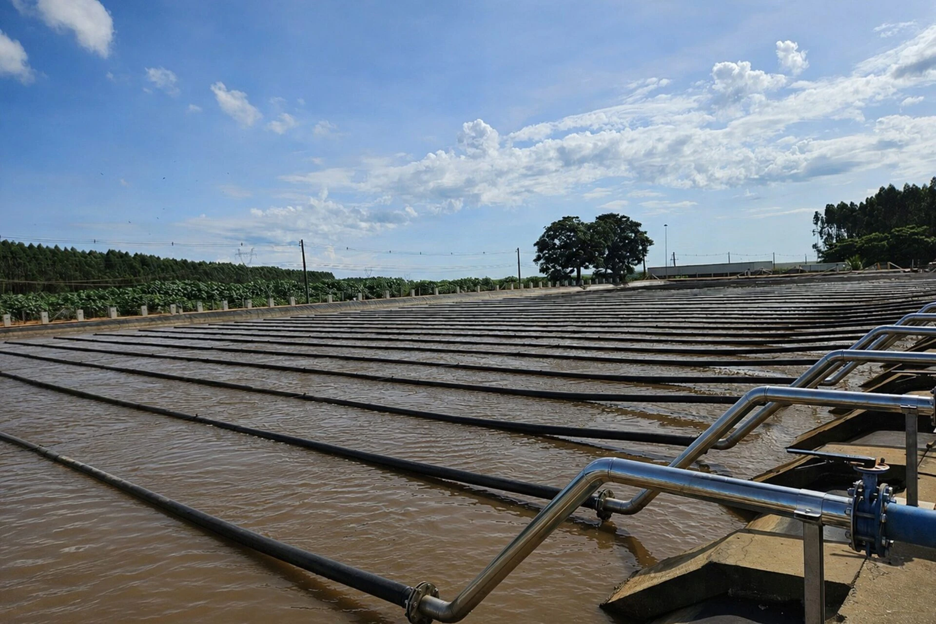 Diffused Air Aeration System