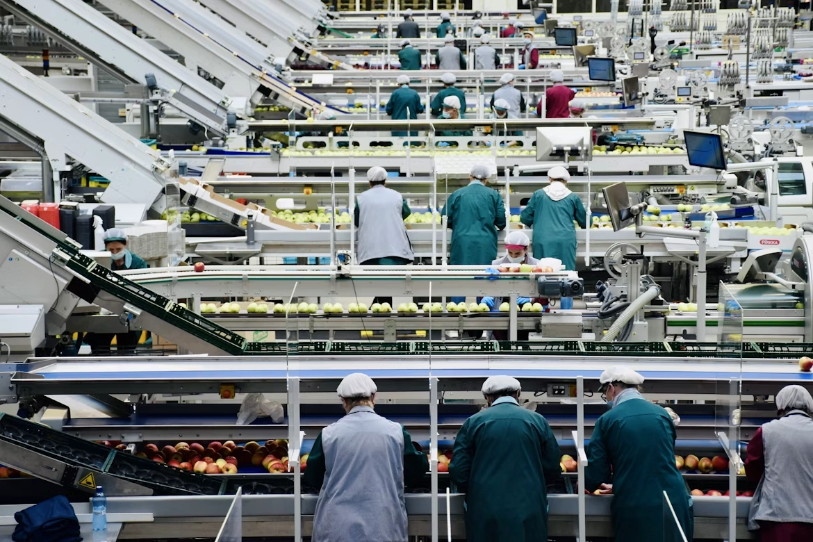 Sector Alimentario
