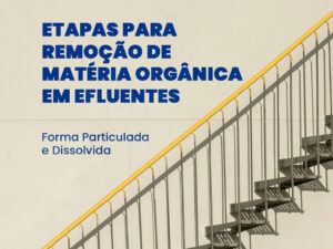 Etapas para Remoção de Matéria Orgânica em Efluentes: Forma Particulada e Dissolvid