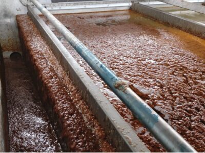 linsul-industria-solucoes-ambientais-sc-aplicacoes-flotador-daf-para-remocao-de-fosforo-1